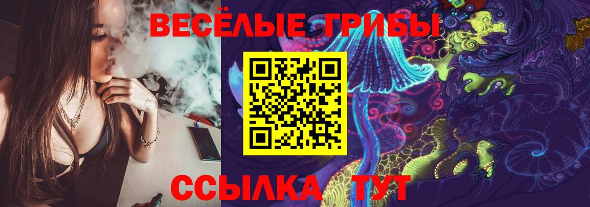 наркошоп  Вход с VPN  Ростов Великий  Псилоцибиновые грибы GOLDEN TEACHER 