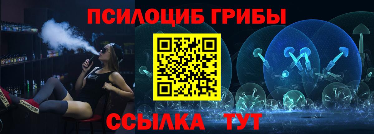 Псилоцибиновые грибы Psilocybe Ростов Великий